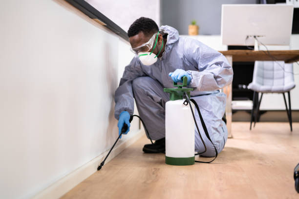 Real Estate Pest Inspections in Muskegon, MI